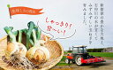 北海道新篠津村の画像3