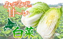 北海道新篠津村の画像3