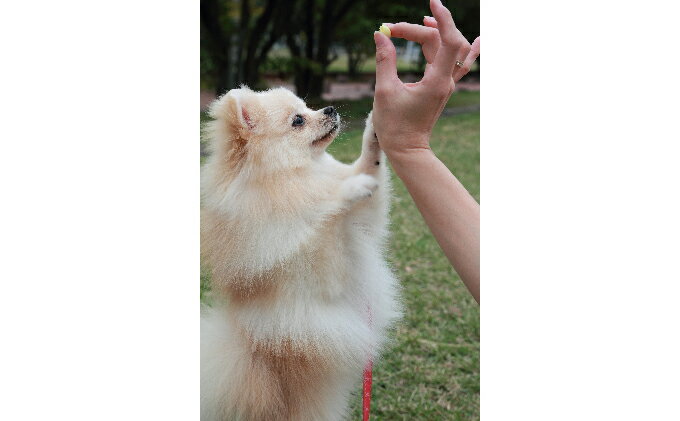 北海道新篠津村の画像2