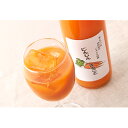 22位! 口コミ数「0件」評価「0」新しのつにんじんジュース（500ml×2本）　【果汁飲料・野菜飲料・にんじんジュース・人参】