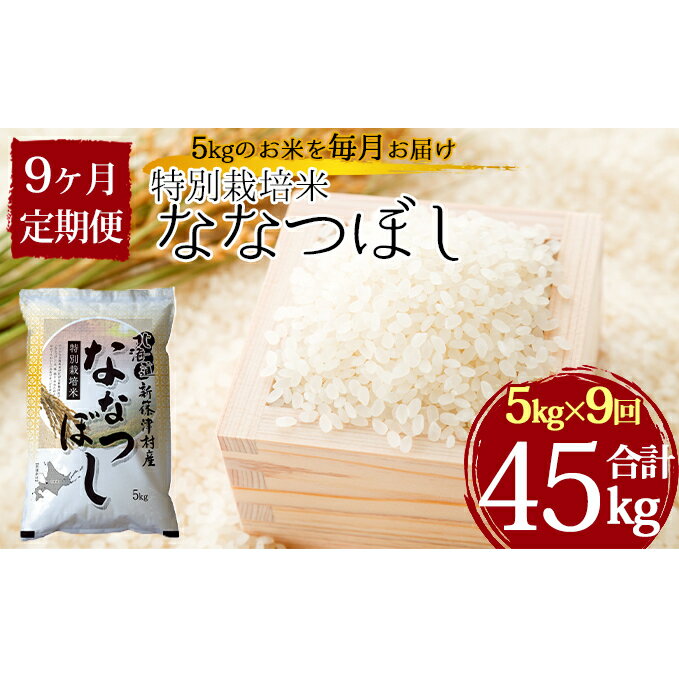 【ふるさと納税】特別栽培米ななつぼし5kg×9ヶ月連続お届け【定期便・お米】お届け:2022年11月初旬より順次新米で出荷