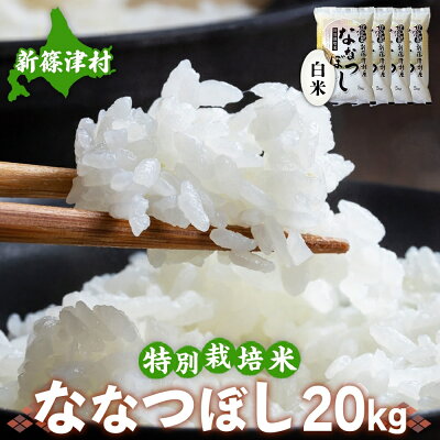 楽天ふるさと納税　【ふるさと納税】北海道新篠津村産　特別栽培米ななつぼし20kg　【お米】