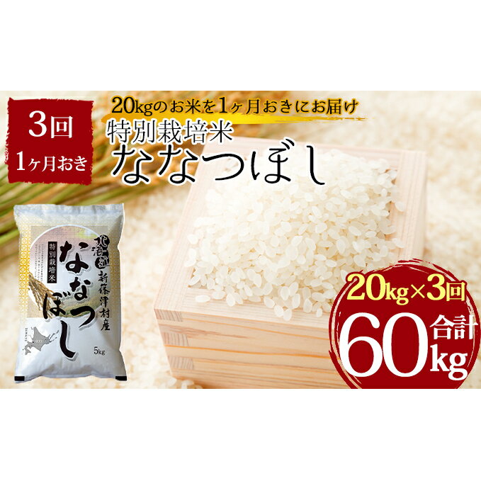 【ふるさと納税】特別栽培米ななつぼし計60kg20kg×1ヶ月おきに3回発送【定期便・お米】お届け:2022年11月初旬より順次新米で出荷