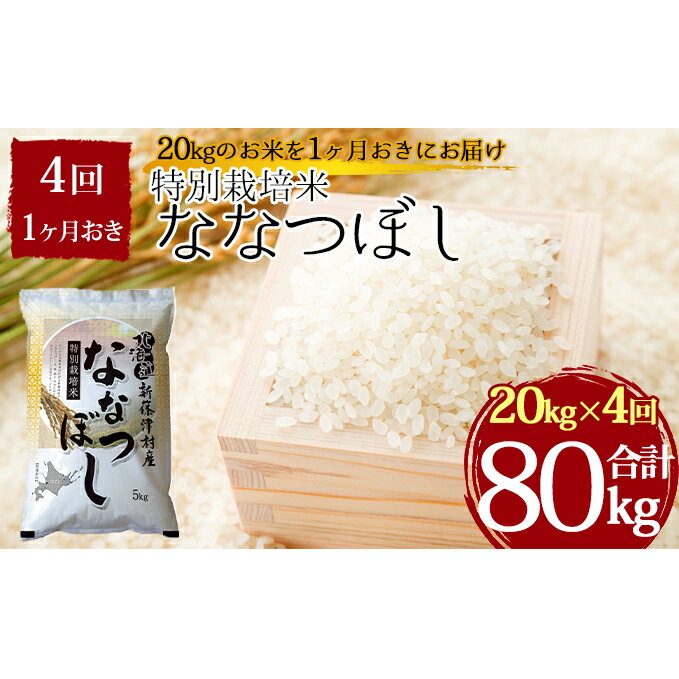 【ふるさと納税】特別栽培米ななつぼし計80kg20kg×1ヶ月おきに4回発送【定期便・お米】お届け:2022年11月初旬より順次新米で出荷