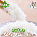 48位! 口コミ数「0件」評価「0」【無洗米】北海道新篠津村産 特別栽培米ななつぼし5kg　【お米・ななつぼし・米・特別栽培米・無洗米・5kg】