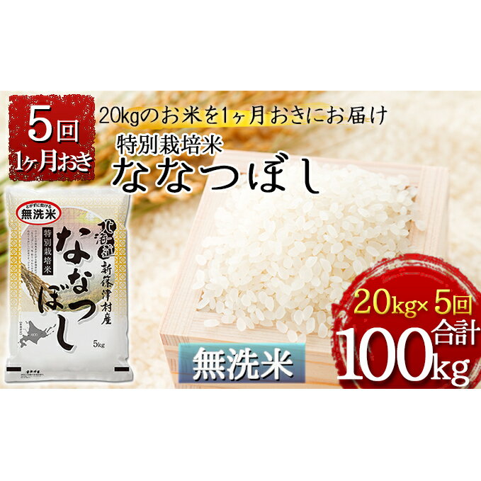 【ふるさと納税】【無洗米】特別栽培米ななつぼし計100kg20kg(5kg×4)×1ヶ月おきに5回発送【定期便・お米・ななつぼし・米・特別栽培米・無洗米】お届け:2022年11月初旬より順次新米で出荷