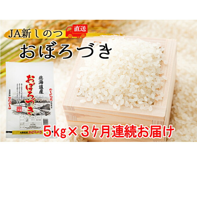 【ふるさと納税】新しのつ米「おぼろづき」5kg×3ヶ月連続お届け【定期便・お米・北海道産・定期便】