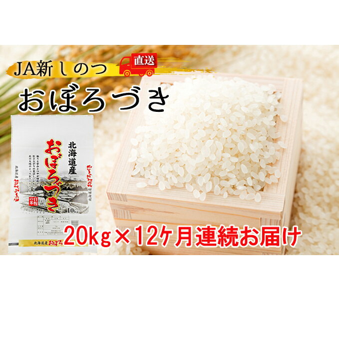 【ふるさと納税】新しのつ米「おぼろづき」20kg×12ヶ月連続お届け【定期便・お米・北海道産・定期便】