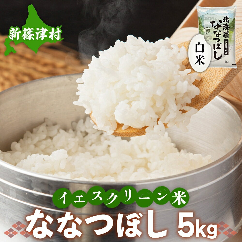 北海道 新篠津村産 ななつぼし 5kg イエスクリーン米 [ お米 白米 ごはん おにぎり お弁当 精米 単一原料 米適度の粘りと甘み 冷めてもおいしい ]