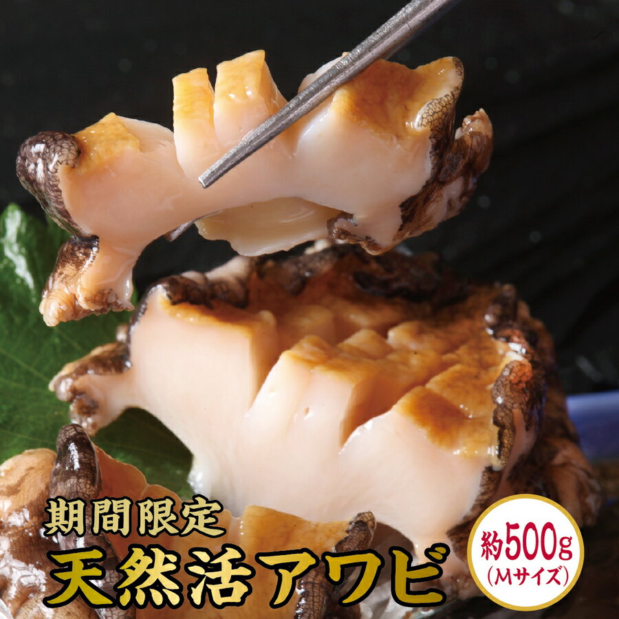 [期間限定]活アワビ 約500g Mサイズあわび 海鮮 高級グルメ 北海道 特産品 新鮮 美味しい 簡単調理 ご飯のお供 刺身 焼き物 贅沢 お取り寄せ 和食 人気