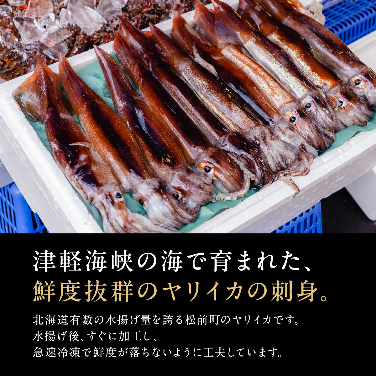 【ふるさと納税】ヤリイカ刺身 50g×4パック 冷凍 小分け イカ ヤリイカ 刺身 肉厚 柔らかい 海鮮 新鮮 魚介 獲れたて お取り寄せ グルメ 北海道 松前町 MATK032