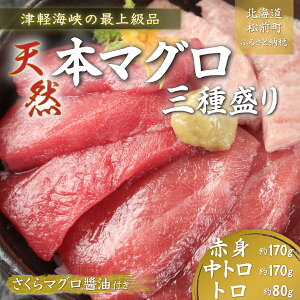 【ふるさと納税】津軽海峡の最上級品　天然本マグロ三種盛り ふるさと納税 まぐろ マグロ 天然 天然まぐろ 刺身 マグロ丼 赤身 トロ 中トロ とろ 3種盛り 北海道 松前町 松前 送料無料 MATB002