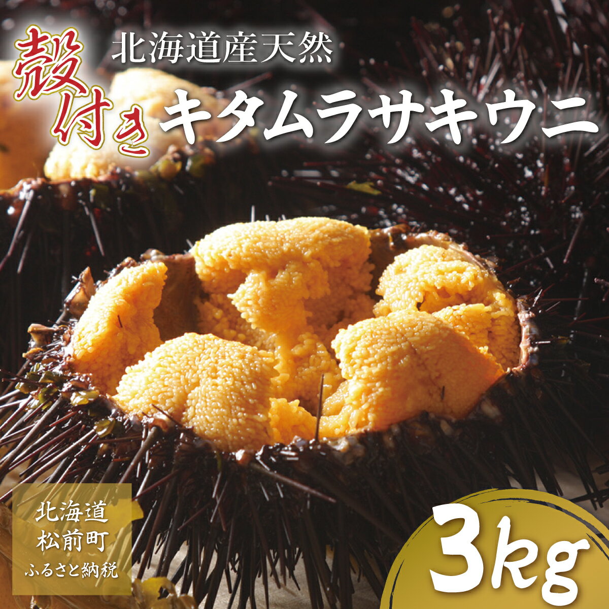 5位! 口コミ数「0件」評価「0」【先行予約】【北海道産】天然殻付きキタムラサキウニ 3kg(2024年6月以降順次発送) ふるさと納税 ウニ うに 雲丹 天然 北海道 殻付･･･ 