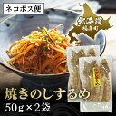 焼きのしするめ　50g×2袋 するめ スルメ いか イカ するめいか スルメイカ 焼きのし 干物 珍味 おやつ おつまみ 贈答 贈り物 ギフト プレゼント 北海道 福島町 送料無料 FKK008