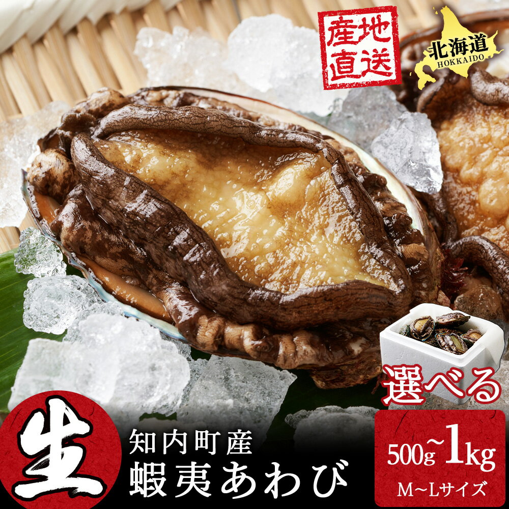 【ふるさと納税】北海道 知内産 天然活あわび 選べる約500g～1kg（M～L詰め合わせ）≪上磯漁業協同組合≫知内町 ふるさと納税 北海道ふるさと納税アワビ 北海道産アワビ 活アワビ 生きているアワビ あわび 鮑