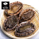 【ふるさと納税】予約開始! 海峡育ち「厳選 天然活あわび 1...