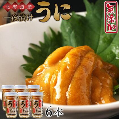 うま味凝縮！一夜漬けうに60g×3本入 2セット＜上磯郡漁業協同組合＞知内町 ふるさと納税 北海道ふるさと納税 ウニ 北海道産ウニ うに 雲丹