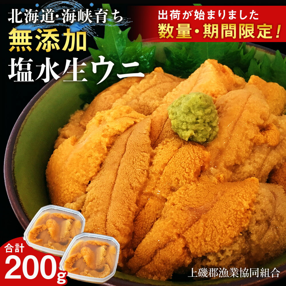 【ふるさと納税】【2025年6月中旬以降発送】 キタムラサキウニ 100g×2パック 上磯郡漁業協同組合むらさきうに 塩水ウニ 塩水パック 無添加 知内町 ふるさと納税 北海道ふるさと納税 ウニ 北海道産ウニ うに 雲丹