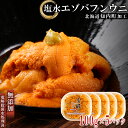 2位! 口コミ数「0件」評価「0」☆知内町加工☆塩水エゾバフンウニ 贅沢100g×5パックセット【マルタカ高橋商店】知内町 ふるさと納税 北海道ふるさと納税 ウニ 北海道 エ･･･ 