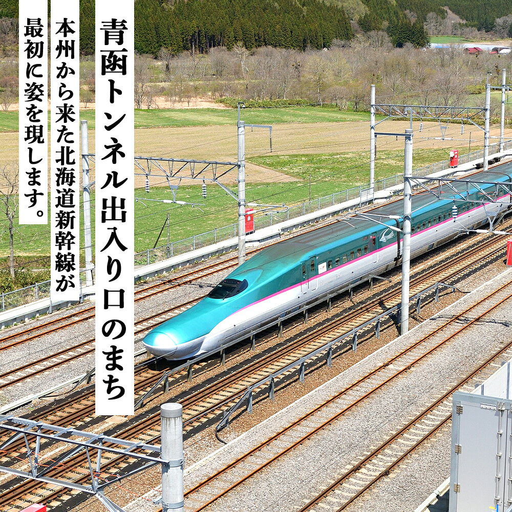 【ふるさと納税】北海道知内町の対象施設で使える楽天トラベルクーポン　寄付額50,000円 体験【RTC005】その2