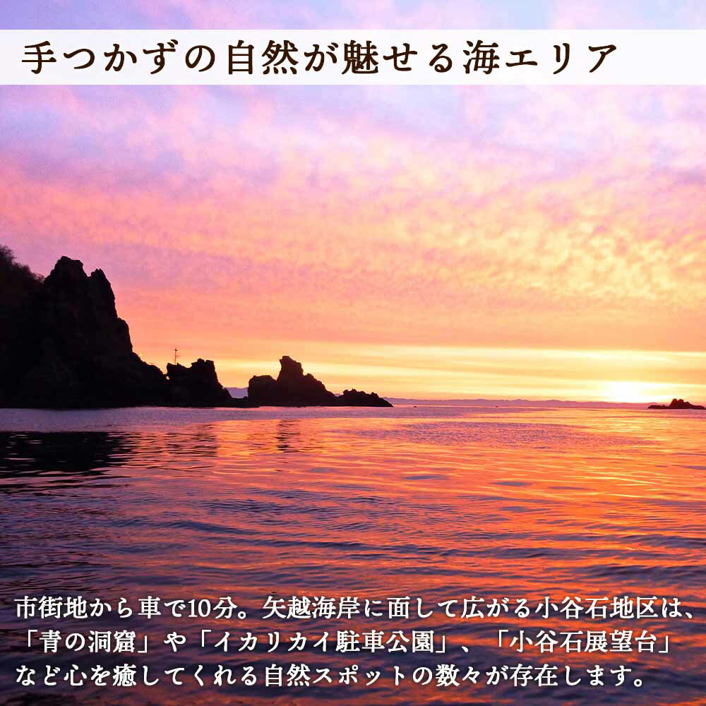 【ふるさと納税】〜絶景と牡蠣の町〜 ようこそ！知内町へ☆宿泊クーポン5,000円分知内町 ふるさと納税 宿泊チケット 宿泊クーポン 宿泊券 知内 北海道 旅行 旅館 民宿 体験