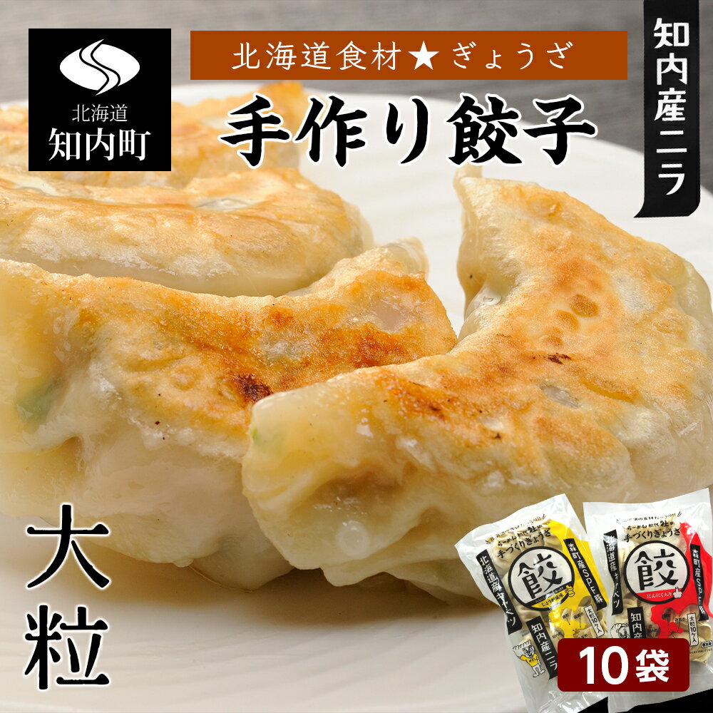 【ふるさと納税】北海道の食材たっぷり 手作り餃子10袋セット＜スリーエス＞ 知内町 ふるさと納税