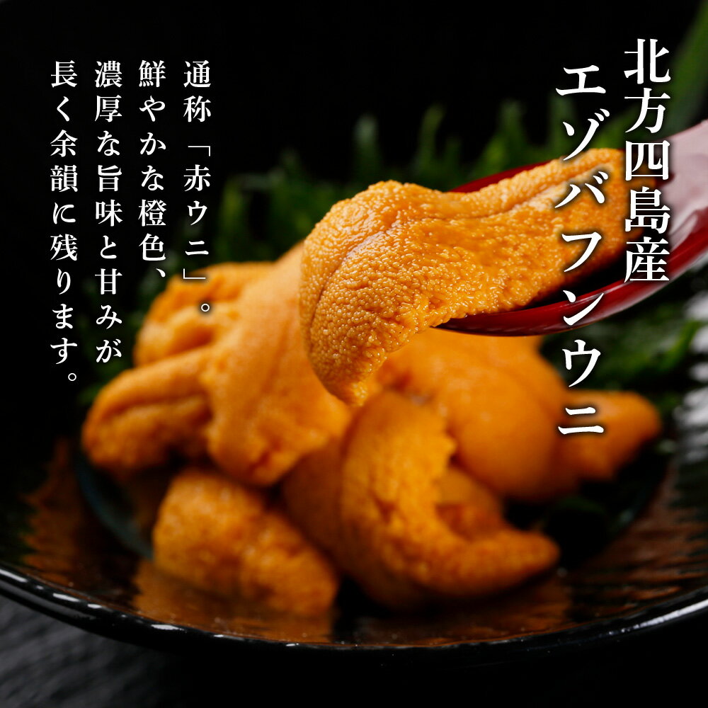 【ふるさと納税】☆知内加工☆紅白ウニ食べ比べ 各1×100 g【マルタカ高橋商店】【マルタカ高橋商店】知内町 ふるさと納税 北海道ふるさと納税 ウニ 北海道 エゾバフンウニ キタムラサキウニ うに 雲丹 ばふんうに むらさきうに 塩水うに 無添加