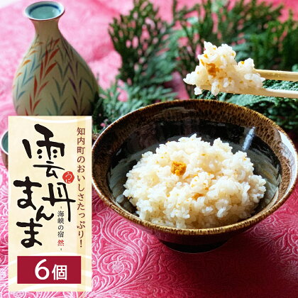 うに うにの炊き込みごはん ～ 雲丹まんま ～ ×6＜海峡の宿 然＞知内町 ふるさと納税 北海道ふるさと納税 ウニ 北海道産ウニ うに 雲丹 炊き込みごはん 雲丹まんま