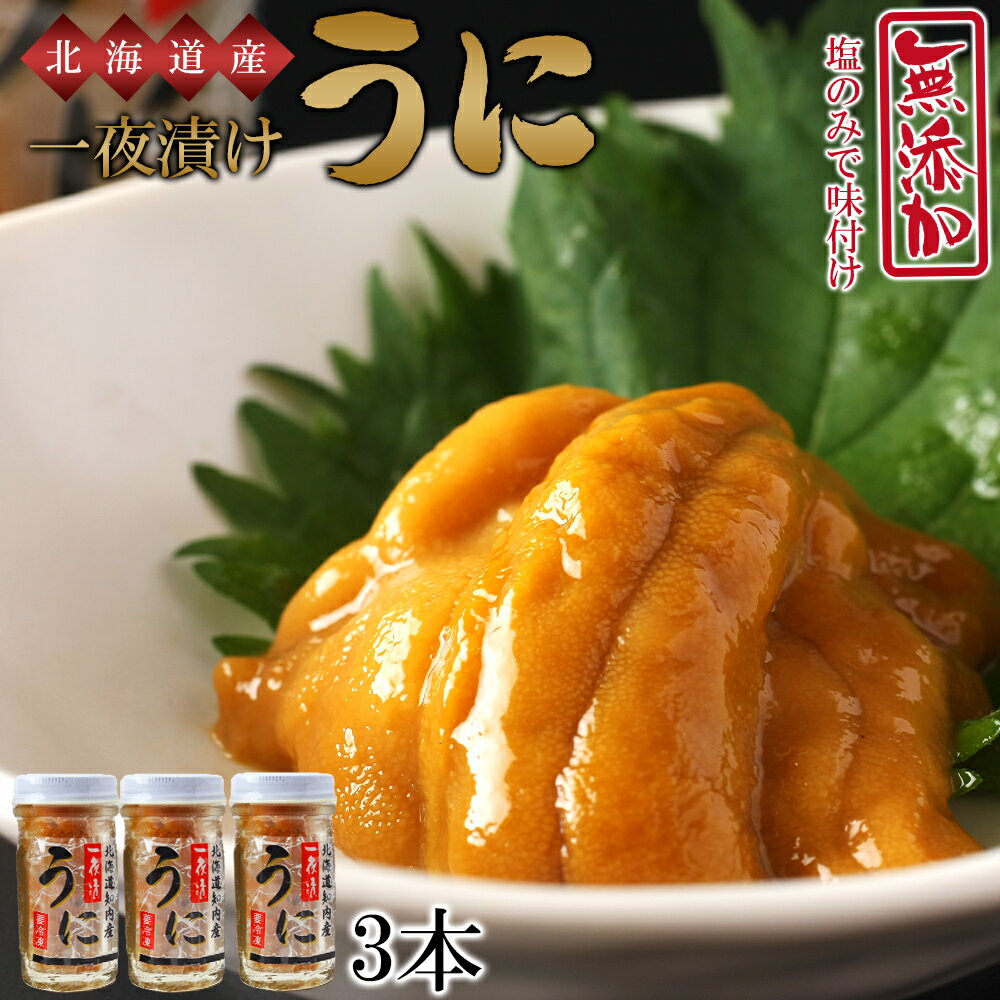 うに うま味凝縮！一夜漬けうに60g×3本セット＜上磯郡漁業協同組合＞知内町 ふるさと納税 北海道ふるさと納税 ウニ 北海道産ウニ うに 雲丹【DD077】