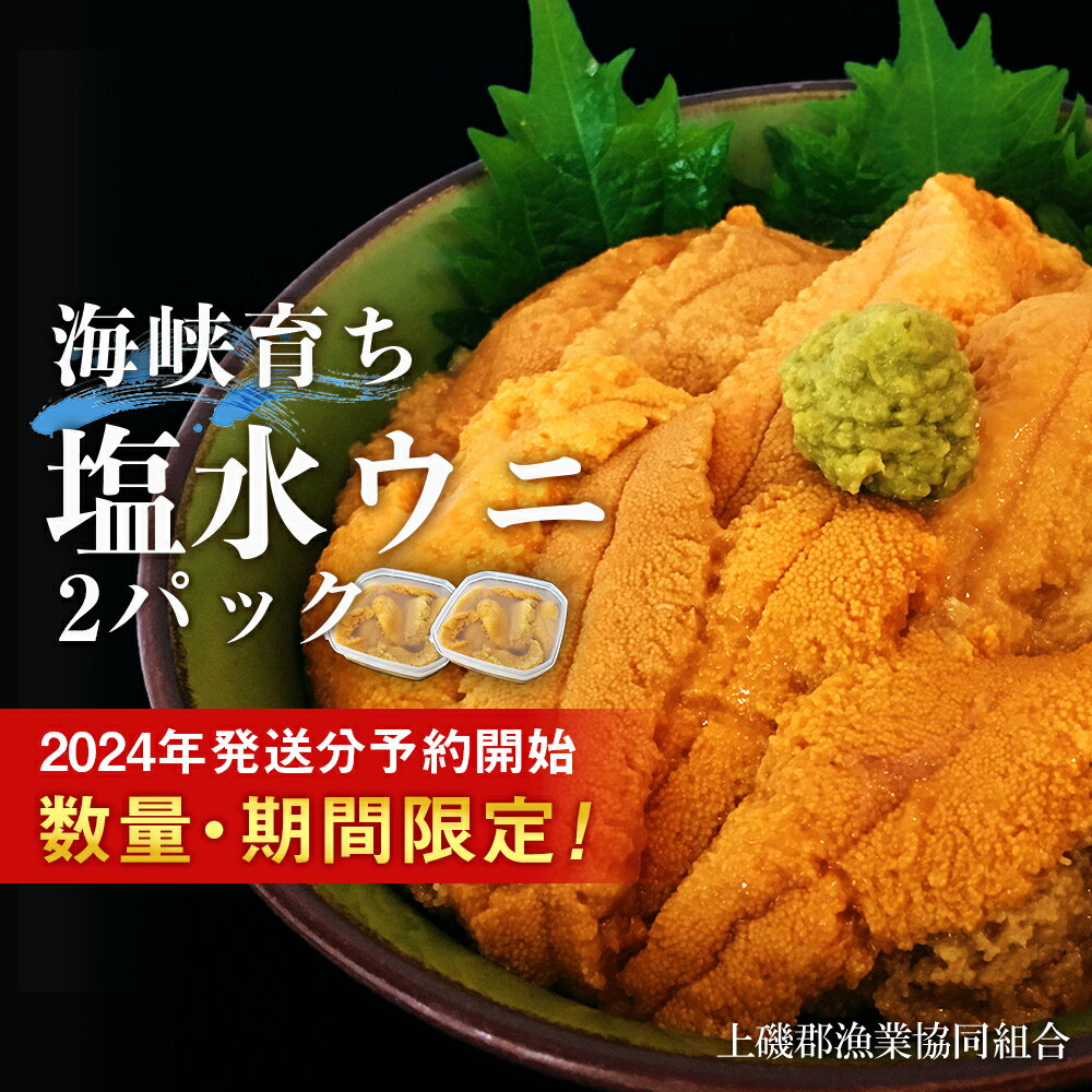 【ふるさと納税】2024年6月発送予約 キタムラサキウニ 100g×2パック 上磯郡漁業協同組合むらさきうに ...