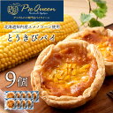 北海道知内町 橋本農園産ユメノコーンのとうきびパイ9個入 パイ スイーツ トウモロコシ とうもろこし コーン 冷凍 北海道 キッシュ タルト パイ生地知内町 ふるさと納税 北海道ふるさと納税