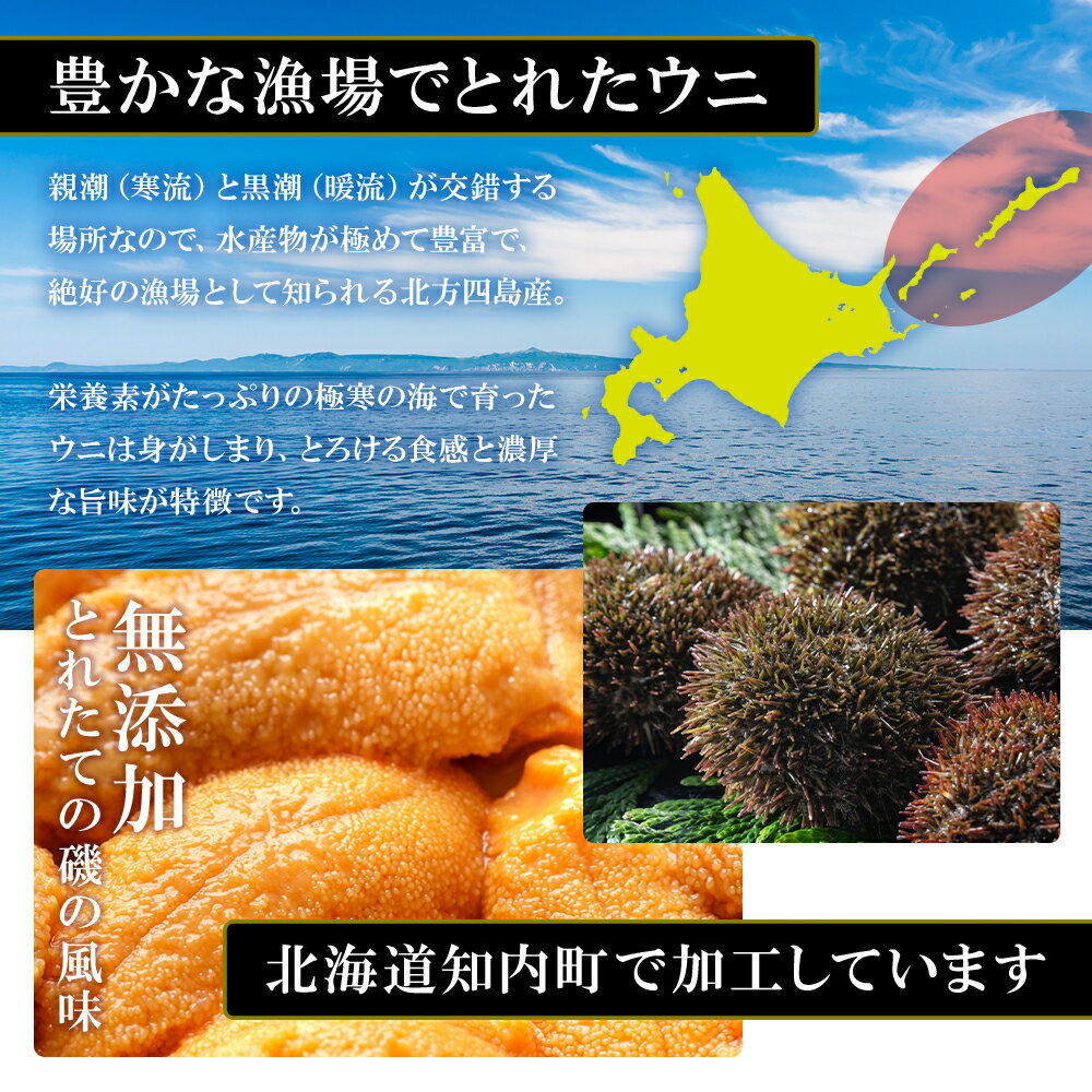 【ふるさと納税】うに ☆知内町加工☆厳選エゾバフンウニ折詰100g【マルタカ高橋商店】知内町 ふるさと納税 北海道ふるさと納税 ウニ 北海道 エゾバフンウニ ばふんうに 折り詰め 折詰 生うに うに 雲丹