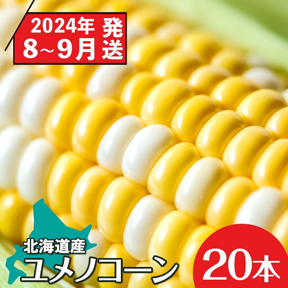 【2024年8月～9月発送分】予約受付 北海道産 甘い とうもろこし ユメノコーン 20本【橋本農園】とうもろこし 野菜 とうきび 北海道産 コーン 知内町 ふるさと納税 とうもろこしと 【SS007】