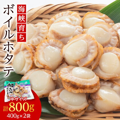 ボイルホタテ約400g×2袋セット＜上磯郡漁業協同組合＞ ボイル ベビー ホタテ 知内町 ふるさと納税 ほたて 帆立 ボイル ホタテ 帆立 北海道