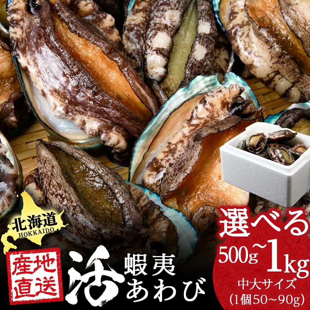 【ふるさと納税】北海道知内町産 養殖活あわび 選べる500g～1kg 大中サイズ（50g～90g） ＜上磯郡漁業協同組合＞知内町 ふるさと納税 北海道ふるさと納税アワビ 北海道産アワビ 活アワビ 生きているアワビ あわび 鮑