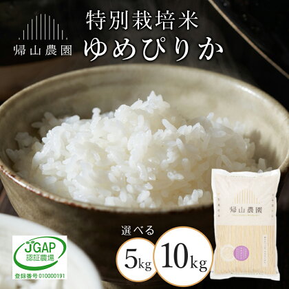 ゆめぴりか 選べる5kg～10kg 特別栽培米産地直送《帰山農園》知内町 ふるさと納税 米 こめ 北海道産お米 北海道米 美味しいお米 北海道産米 道産米 ふるさと納税 秋 旬