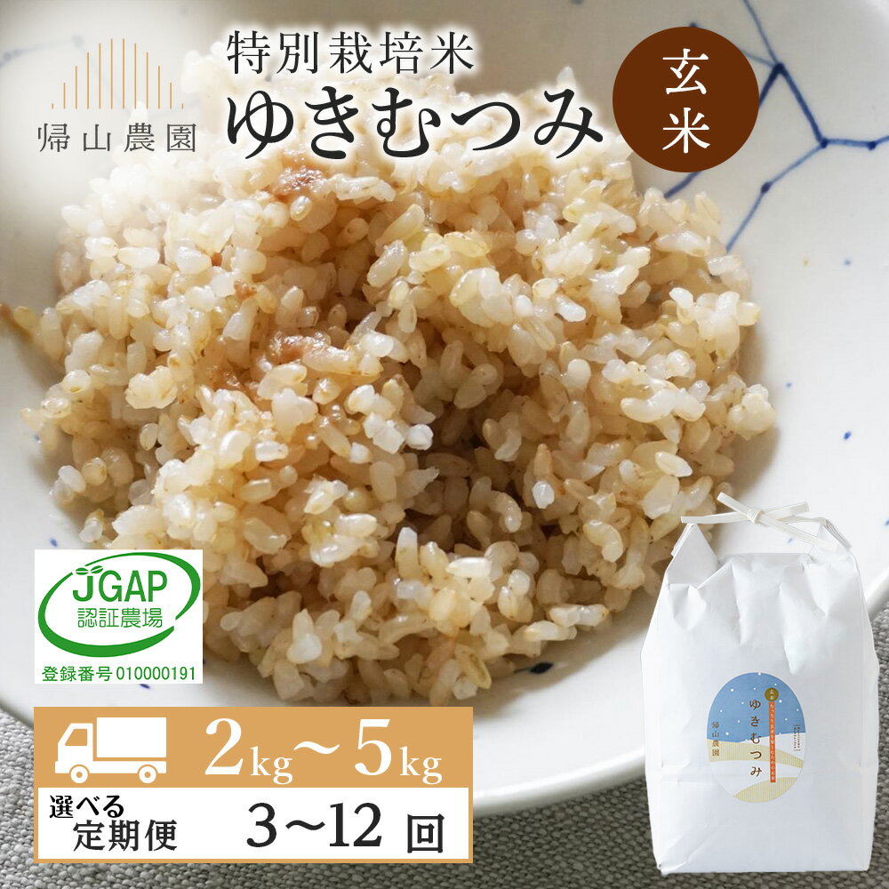 [定期便] 玄米 ゆきむつみ 選べる定期便 2kg〜5kg 特別栽培米産地直送[帰山農園] 国産 北海道 知内 北海道産 ゆきむつみ 特別栽培米 特別栽培農産物知内町 ふるさと納税 米 こめ 北海道産お米 北海道米 美味しいお米 北海道産米 道産米