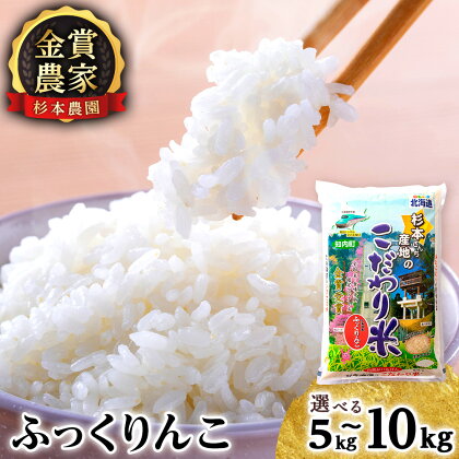 ★金賞農家★が作る「ふっくりんこ」選べる5kg～10kg《杉本農園》知内町 ふるさと納税 米 こめ 北海道産お米 北海道米 美味しいお米 北海道産米 道産米