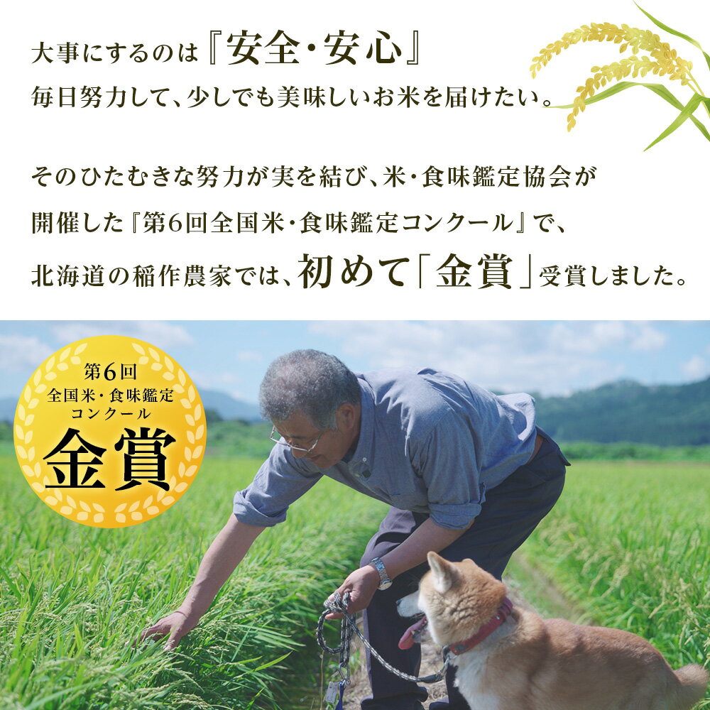 【ふるさと納税】 ★金賞農家★が作る「ふっくりんこ」選べる5kg～10kg《杉本農園》知内町 ふるさと納税 米 こめ 北海道産お米 北海道米 美味しいお米 北海道産米 道産米