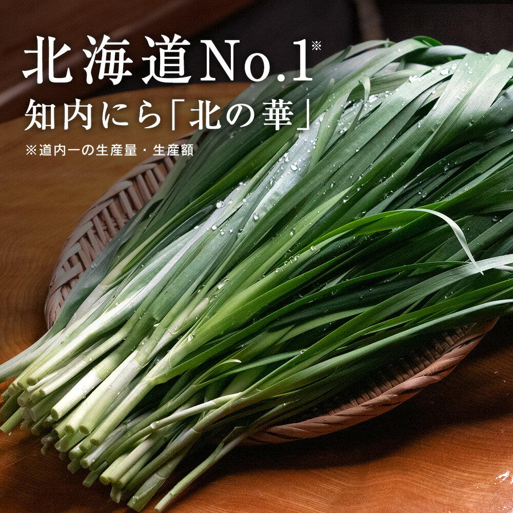 【ふるさと納税】知内産 1番ニラ！！「北の華」選べる10束～50束【JA新はこだて】ニラ 野菜 にら 北海道産 北の華 知内町 ふるさと納税