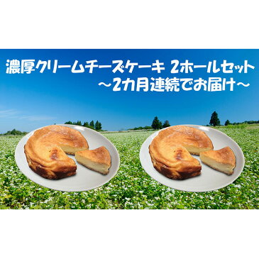 【ふるさと納税】【2カ月連続】濃厚クリームチーズのベイクドチーズケーキ　　【定期便・スイーツ・焼菓子・チョコレート・お菓子・チーズケーキ】