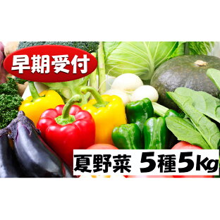 北海道の大地で育った野菜！新鮮で旬な野菜は栄養たっぷり【ふるさと納税】ランキング≪おすすめ10選≫の画像