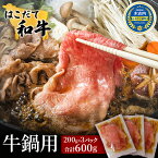 【ふるさと納税】鍋セット はこだて和牛 牛鍋 計600g 和牛 鍋 あか牛 牛肉 小分け 北海道　【 牛 肉 お肉 赤牛 なべ 薄味付き すき焼き 】