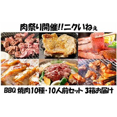 肉祭り開催！BBQセット　～焼肉10種　10人前コース～　3箱セット　【定期便・お肉・牛肉・焼肉・バーベキュー・肉の加工品】