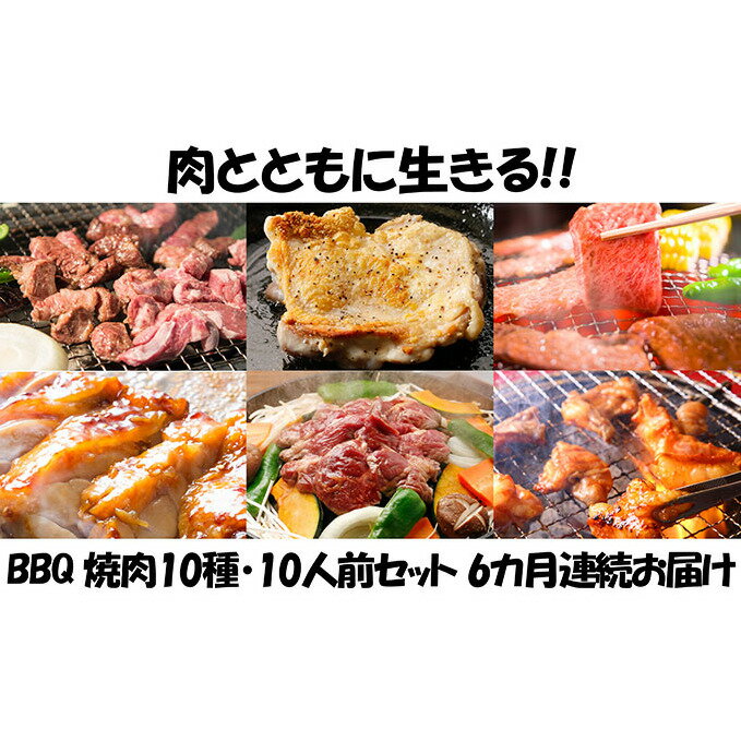 【ふるさと納税】【6カ月連続】肉祭り開催！BBQセット　～焼肉10種　10人前コース～　【定期便・お肉・牛肉・焼肉・バーベキュー・肉の加工品】