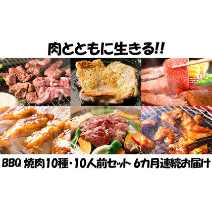 【6カ月連続】肉祭り開催！BBQセット　～焼肉10種　10人前コース～　【定期便・お肉・牛肉・焼肉・バーベキュー・肉の加工品】