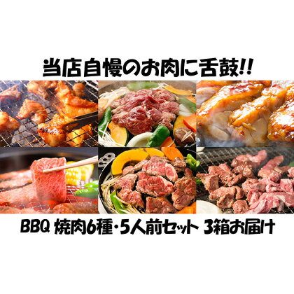 エンジョイ！BBQセット　～焼肉6種　5人前コース～　3箱セット　【定期便・お肉・牛肉・焼肉・バーベキュー・肉の加工品】