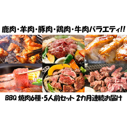 【2カ月連続】エンジョイ！BBQセット　～焼肉6種　5人前コース～　【定期便・お肉・牛肉・焼肉・バーベキュー・肉の加工品】