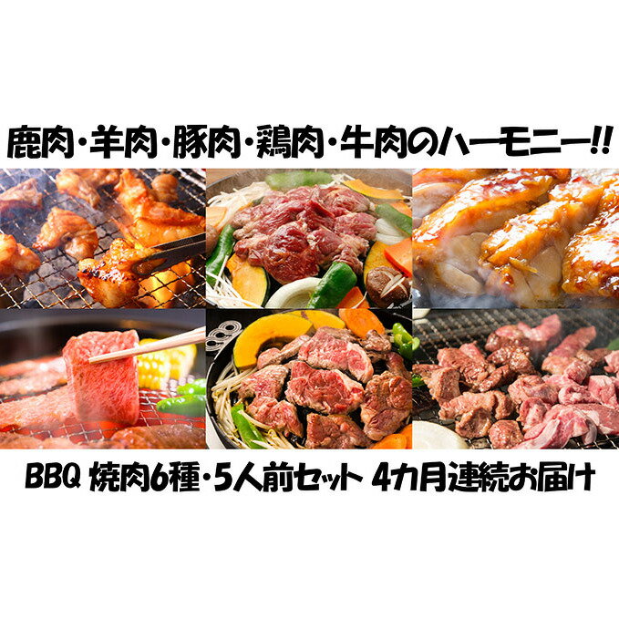 定期便 4ヵ月連続4回 BBQ 焼肉 5人前セット 6種 各1 お肉 牛肉 豚肉 鶏肉 羊肉 鹿肉 肉 ジビエ ジンギスカン 味付き たれ 焼き肉 バーベキュー アウトドア パーティー 詰め合わせ お取り寄せ 冷凍 ギフト 久上工藤商店 [定期便・お肉 牛肉 肉の加工品]