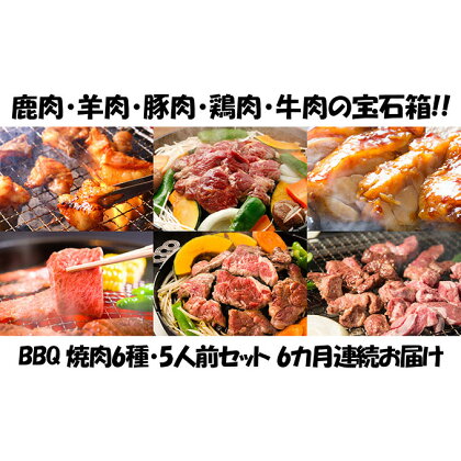 【6カ月連続】エンジョイ！BBQセット　～焼肉6種　5人前コース～　【定期便・お肉・牛肉・焼肉・バーベキュー・肉の加工品】